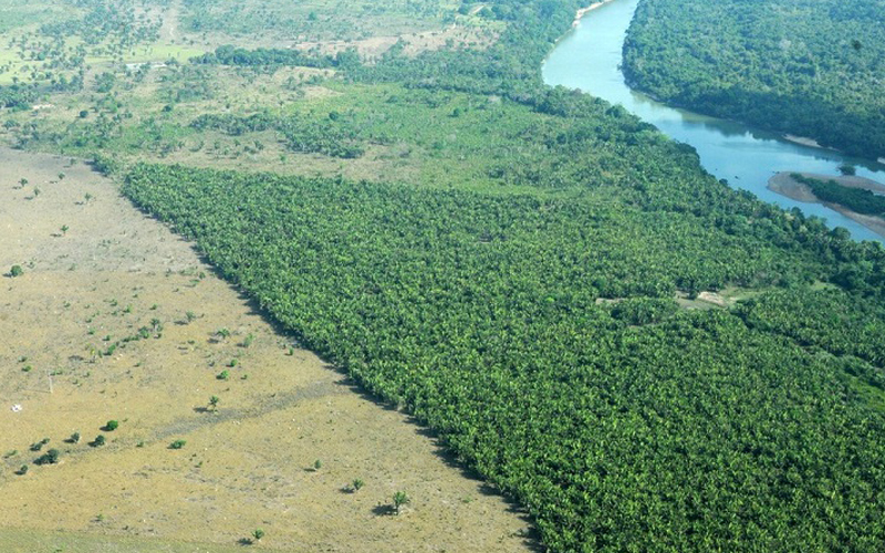 Regularização Ambiental - Siqueira e Sousa